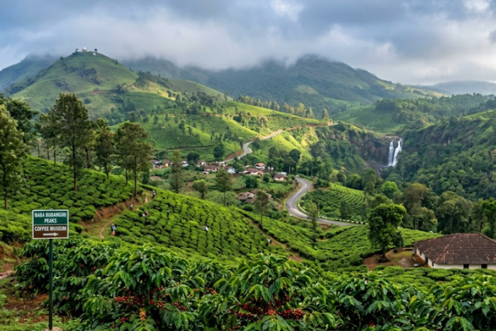 Coorg & Chikmagalur